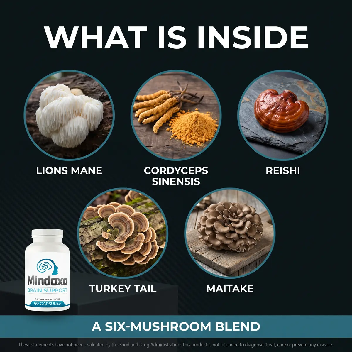 Mindoxa key mushrooms: Lion's Mane, Cordyceps and Reishi