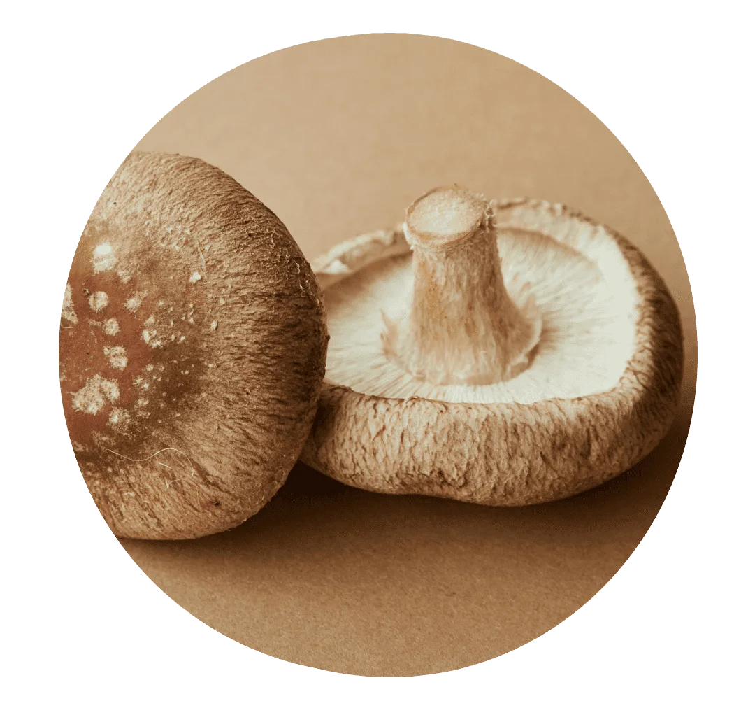 Shiitake mushrooms